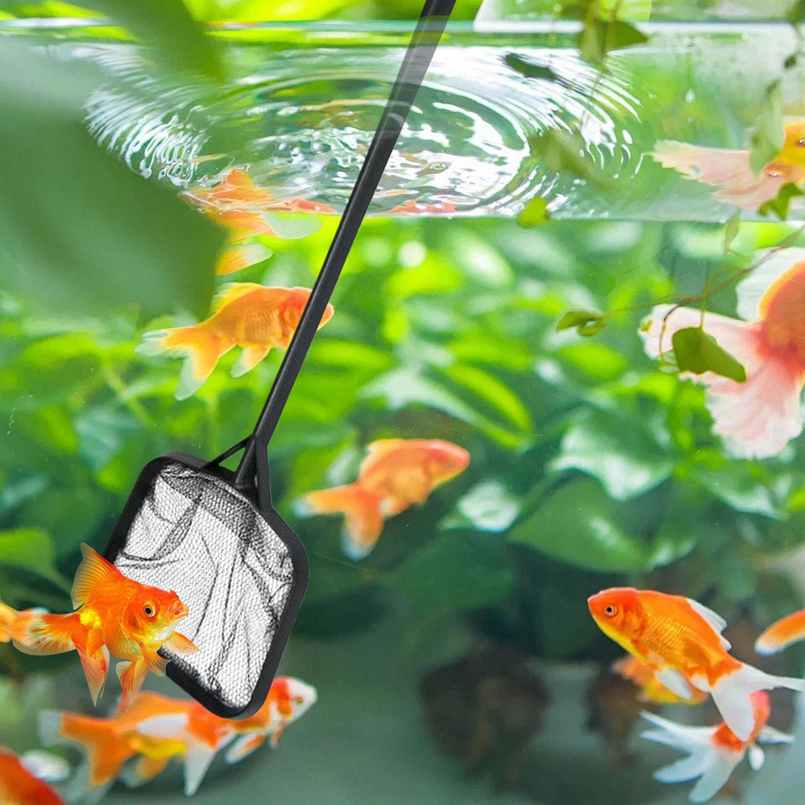 プールネット 清掃用 ポータブルプールストレーナーネット 噴 - Marine Aquarium のレビューと価格