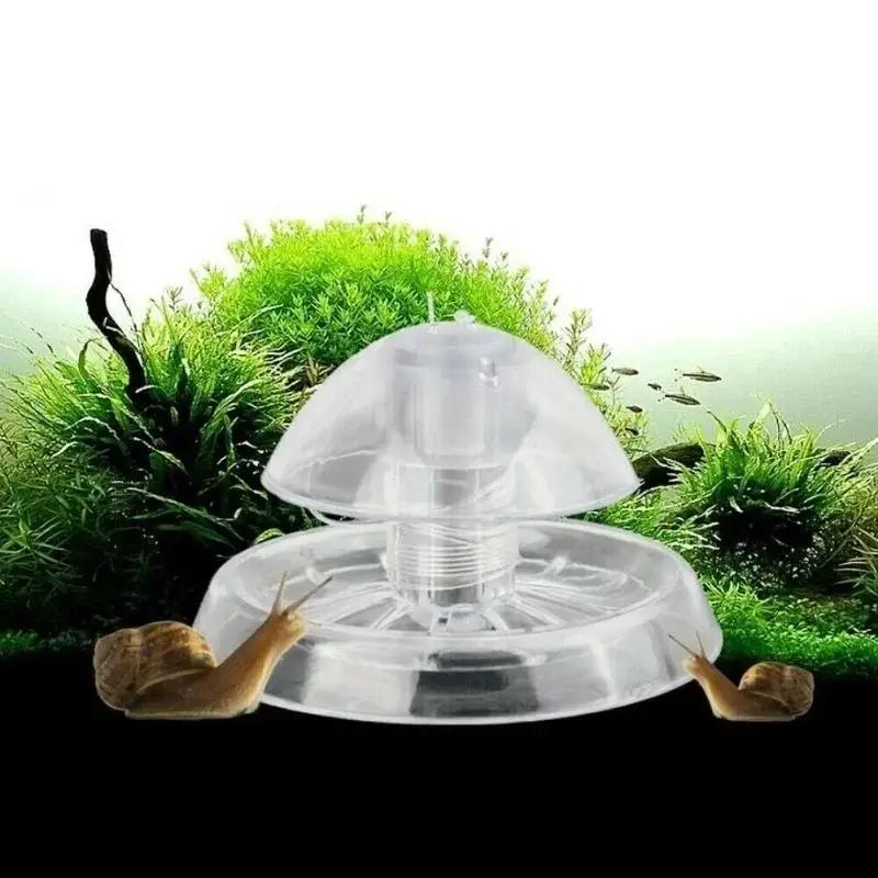 2026年新発売 6/8CM 透明プラスチック製カタツムリ捕 - Marine Aquarium のレビューと価格