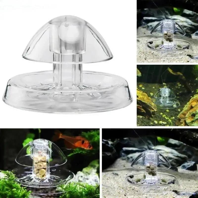 2026年新発売 6/8CM 透明プラスチック製カタツムリ捕 - Marine Aquarium のレビューと価格