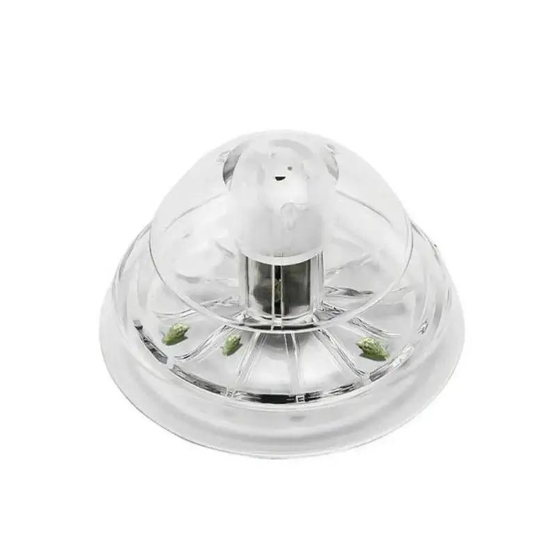 2026年新発売 6/8CM 透明プラスチック製カタツムリ捕 - Marine Aquarium のレビューと価格