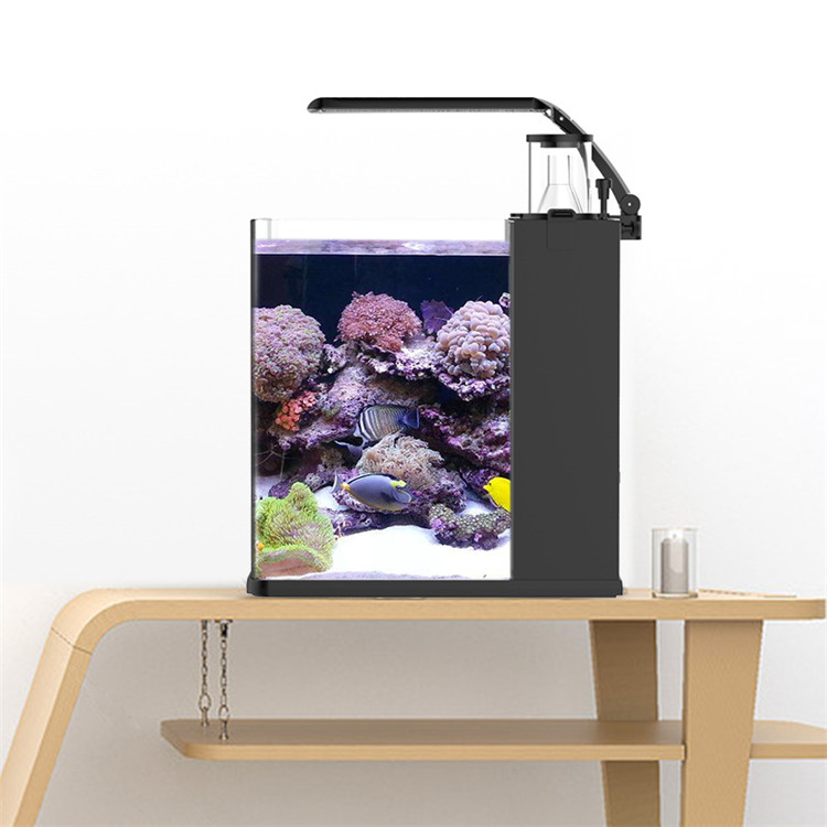 スカイヌオ ウルトラクリアガラス ミニ海水海洋水槽 メディア - Marine Aquarium Cube のレビューと価格