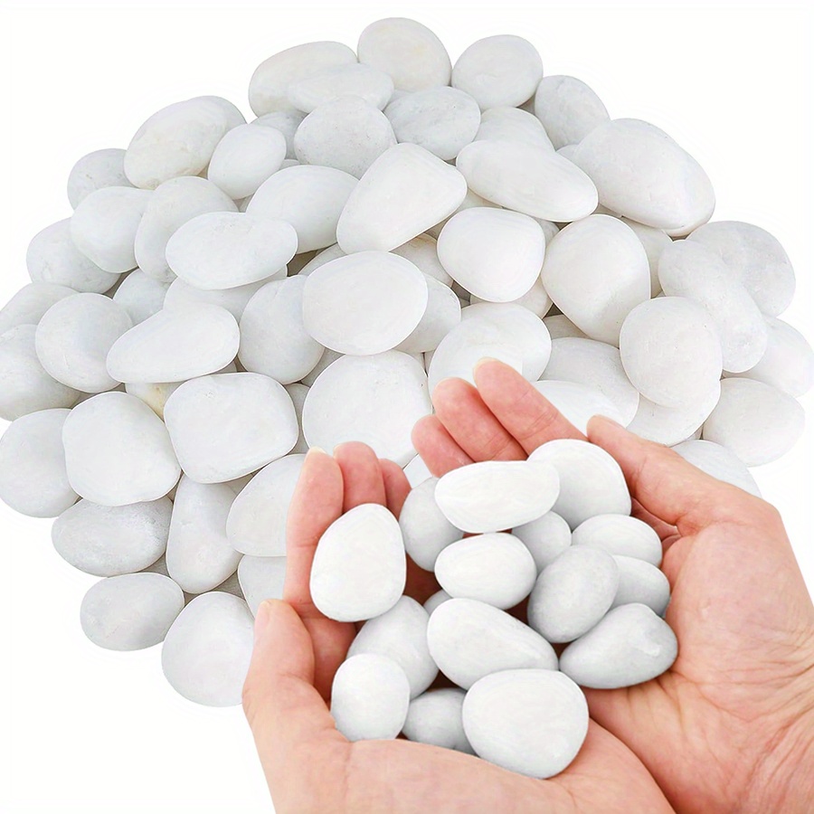 200/400g ホワイト高研磨天然玉石 2-3cm 中庭景 - Marine Fish Tank のレビューと価格