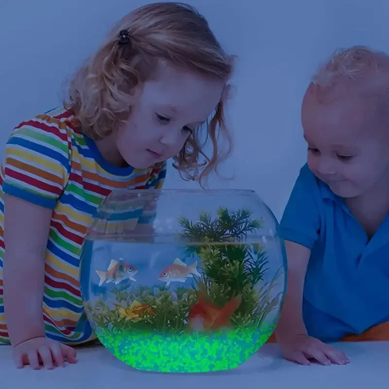 暗い小石の中で輝き、明るい砂岩、家の庭、庭、屋外の小道、芝生 - Marine Fish Tank のレビューと価格