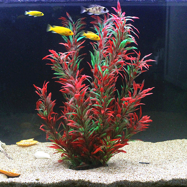 人工水槽50cm,珍しい植物,水族館,偽の竹の葉,水草,プラ - Marine Fish Tank のレビューと価格