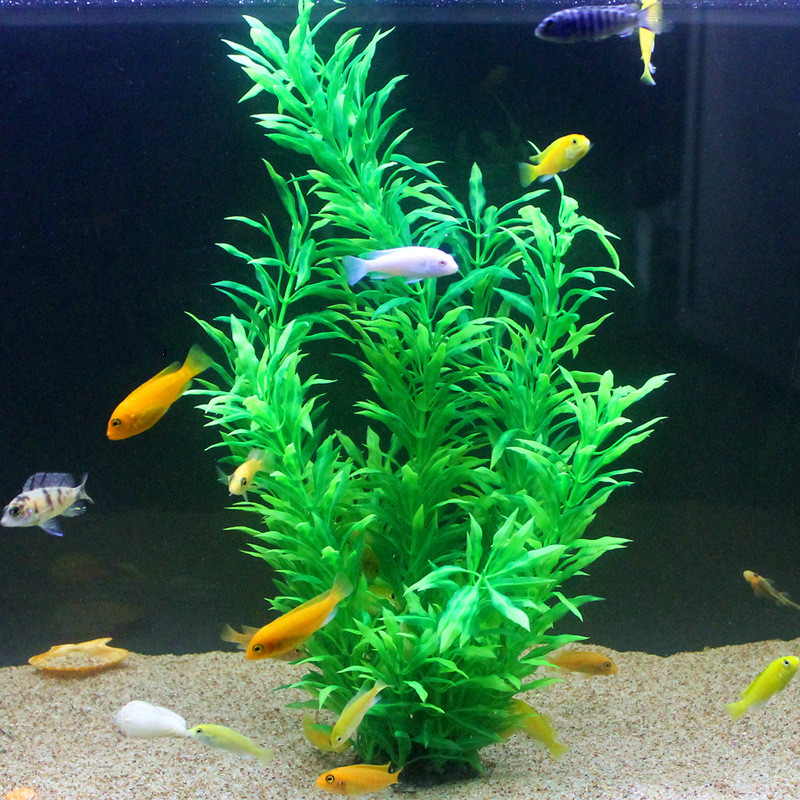 人工水槽50cm,珍しい植物,水族館,偽の竹の葉,水草,プラ - Marine Fish Tank のレビューと価格