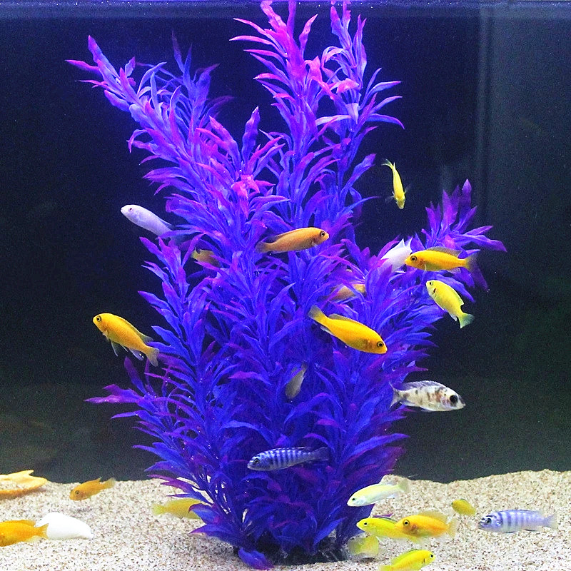 人工水槽50cm,珍しい植物,水族館,偽の竹の葉,水草,プラ - Marine Fish Tank のレビューと価格