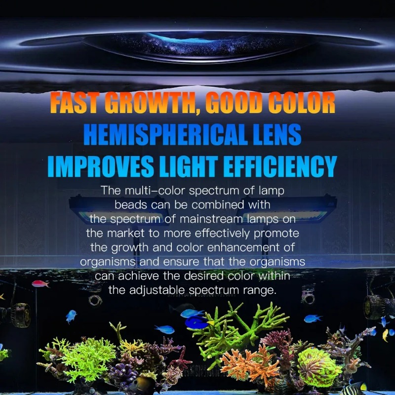 A8Pro II Max サンゴ礁海洋 LED 240W 8 - Marine Coral のレビューと価格