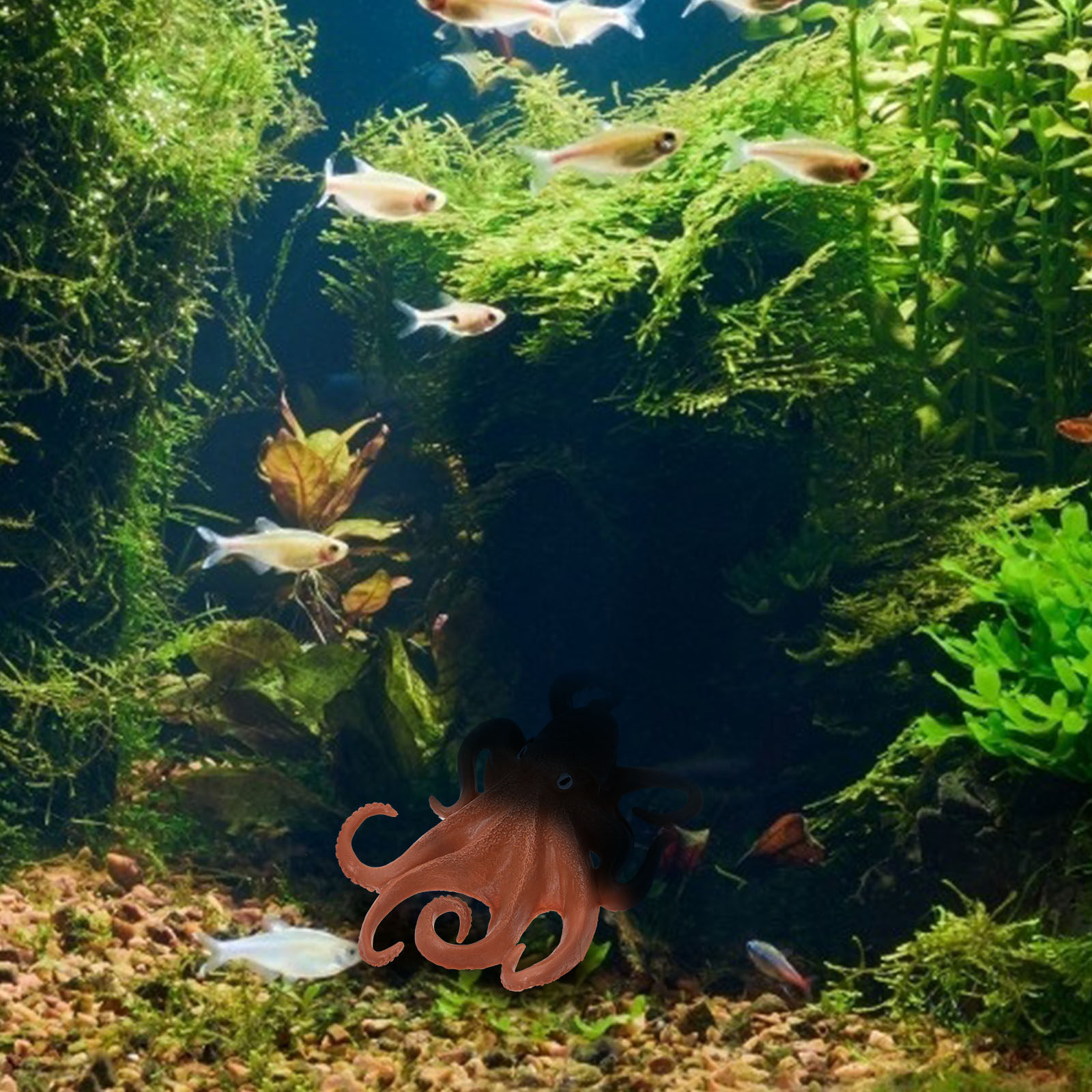 1個入り、タコの形をした海洋生物のプラスチック製オーナメント - Ocean Aquarium のレビューと価格